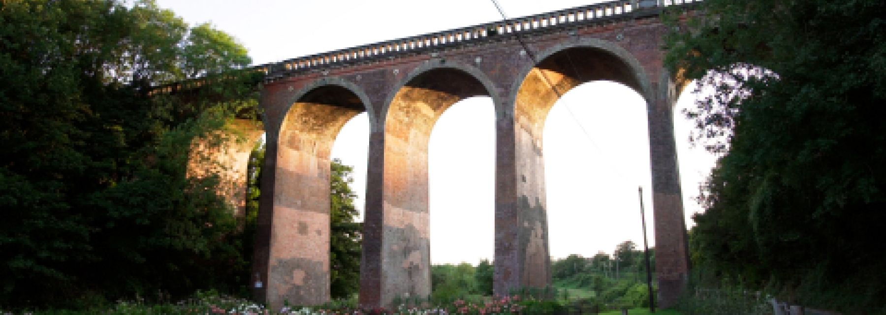 Wards of Kent-Eynsford-Area Guide