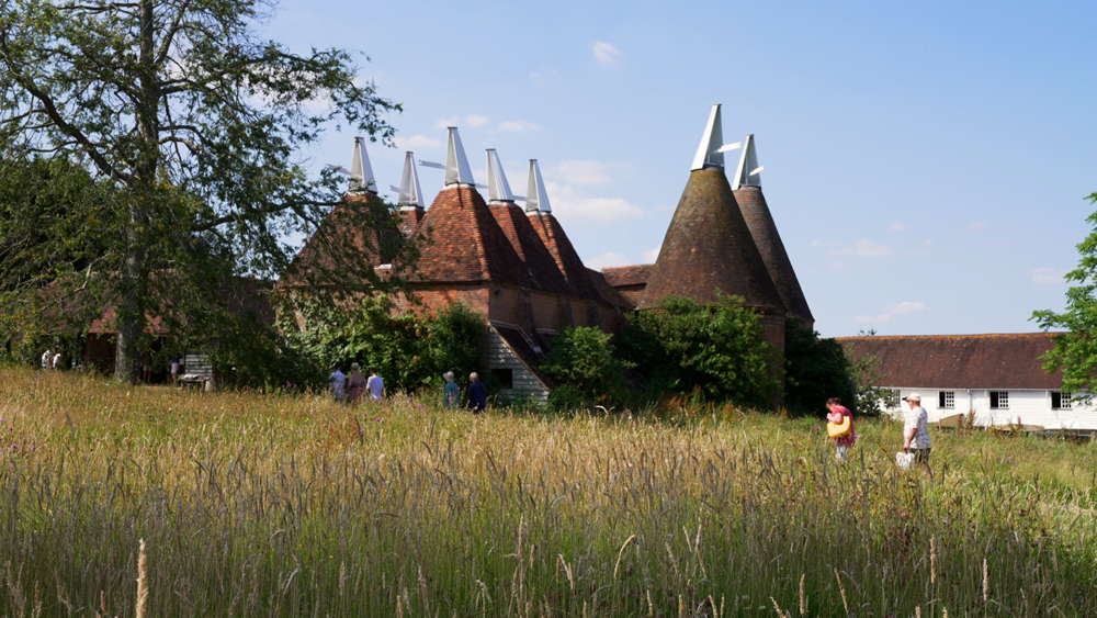 Wards of Kent - Area Guide - The Weald