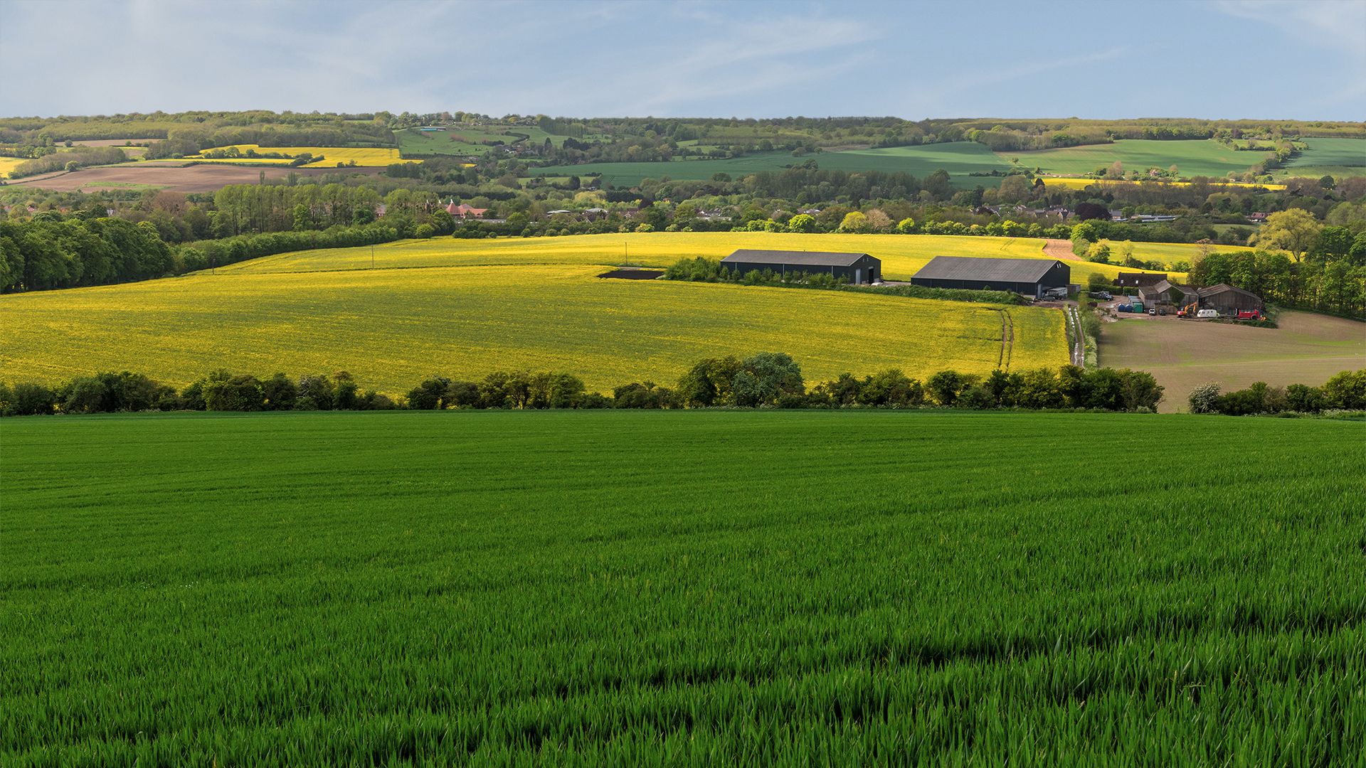 bearsted area guide banner wards of kent.jpg