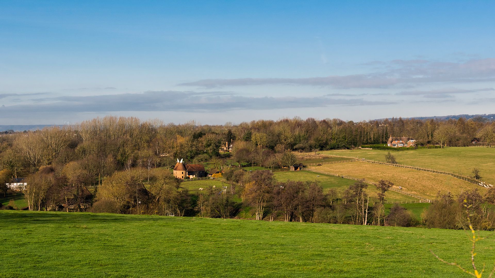 walderslade area guide banner wards of kent2.jpg