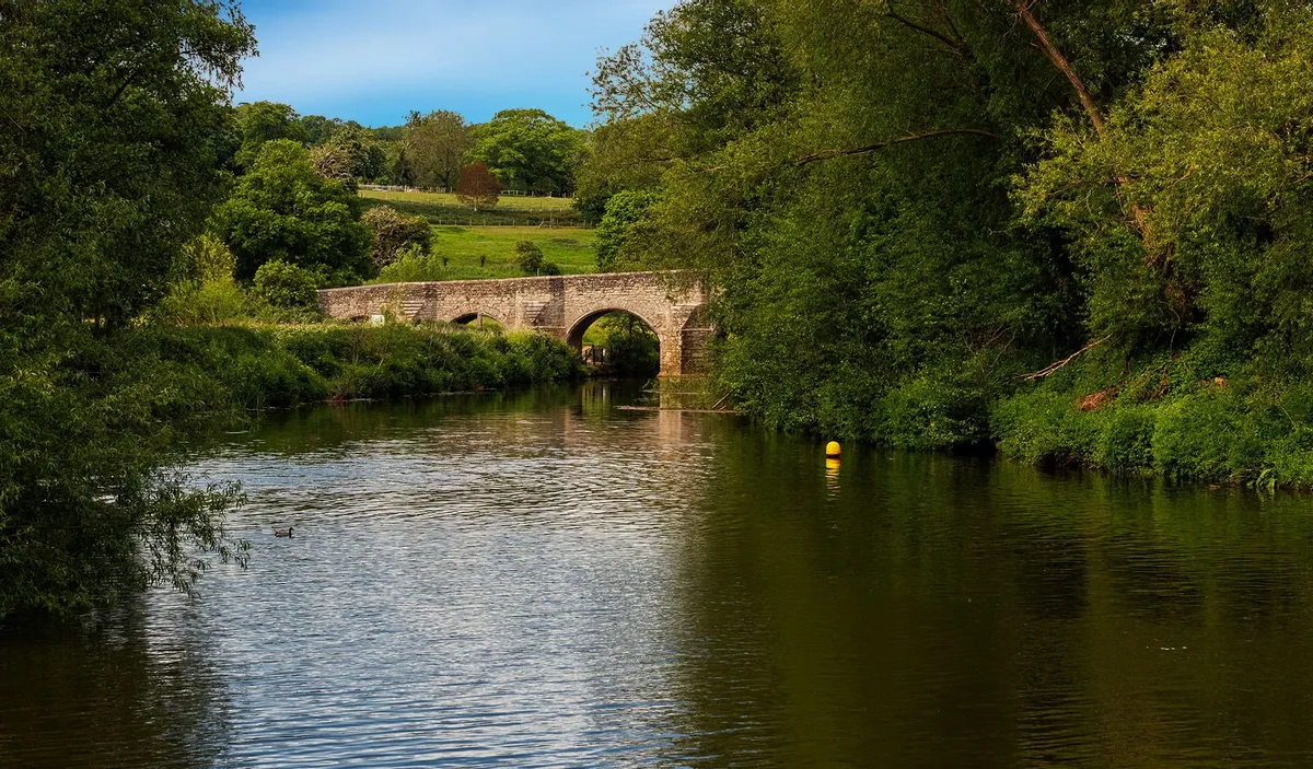 Kings Hill Area Guide - Wards