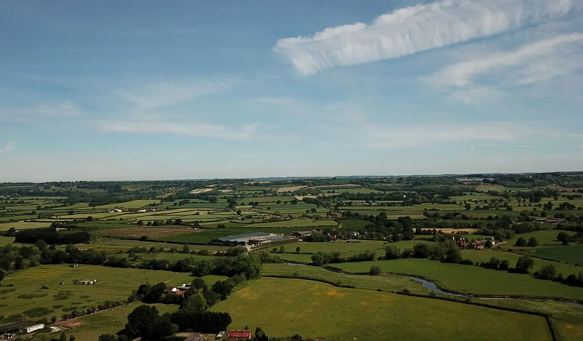 Staplehurst  Area Guide - Wards