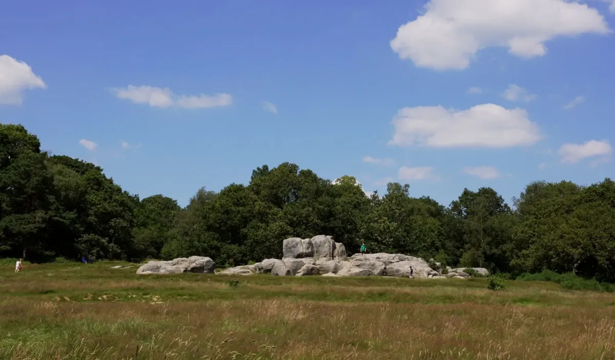 Tunbridge Wells   Area Guide - Wards