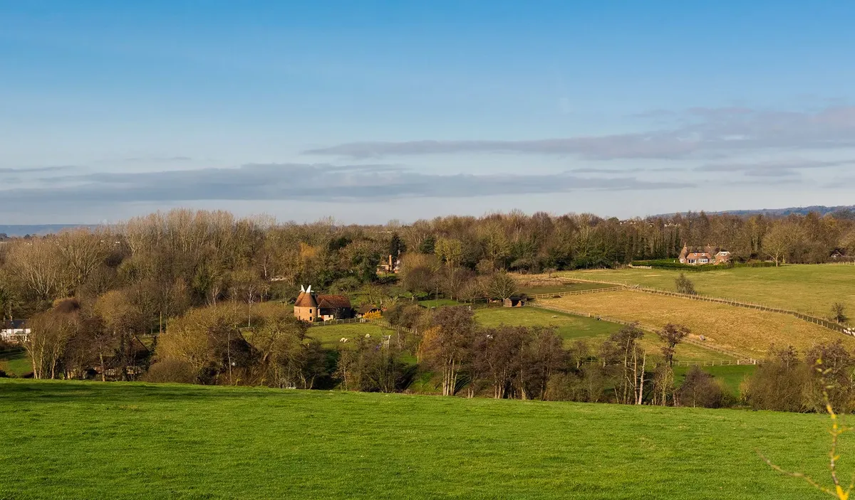 Walderslade Area Guide - Wards