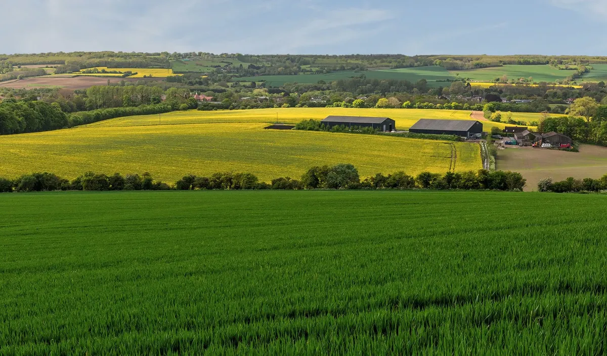 Bearsted Area Guide - Wards