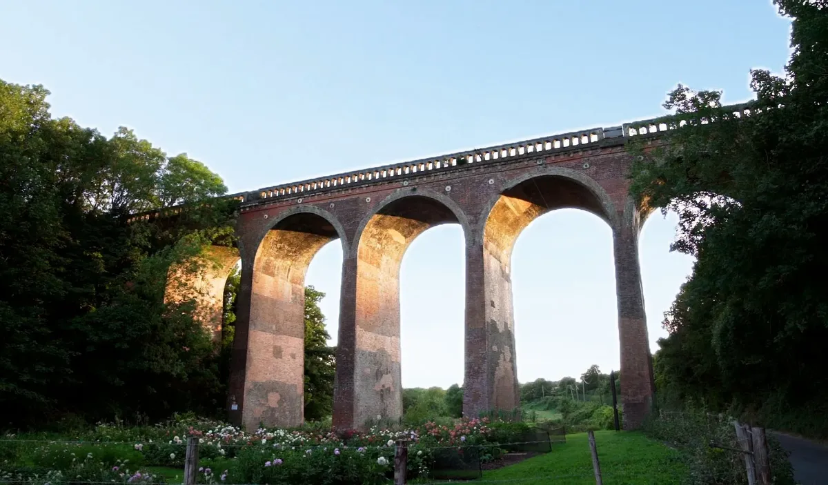 Eynsford Area Guide - Wards
