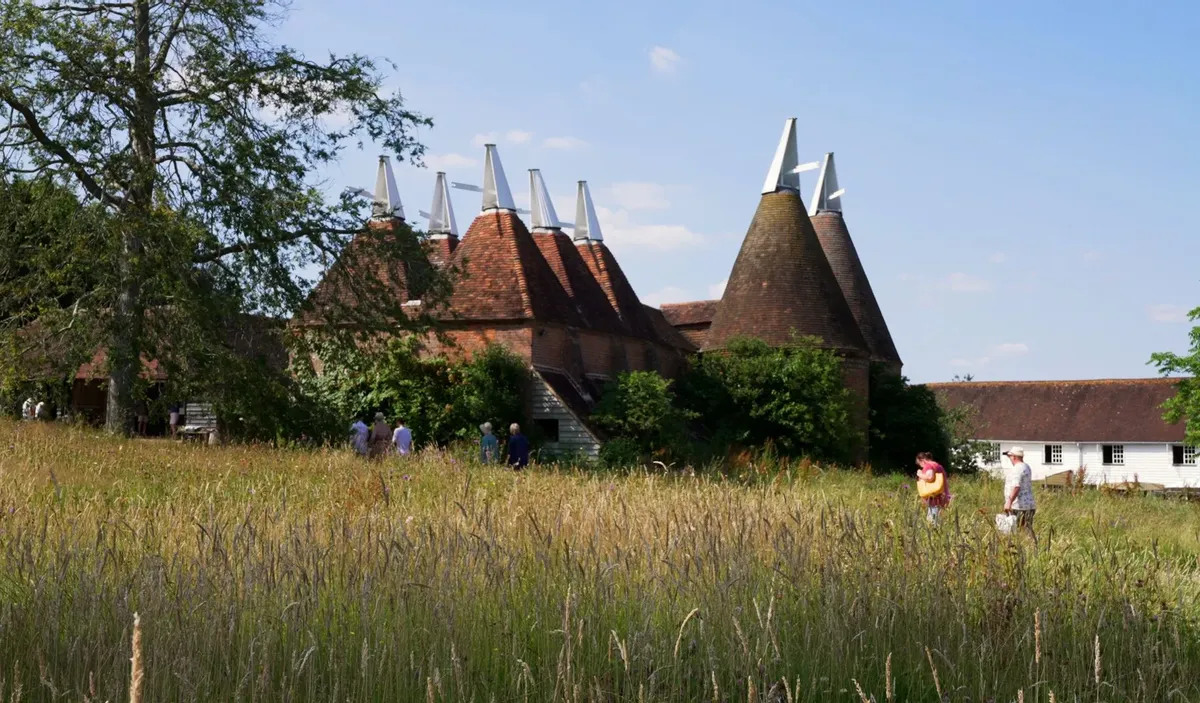 Headcorn Area Guide - Wards