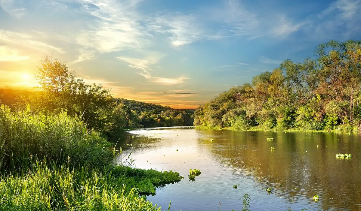 Snodland  Area Guide - Wards