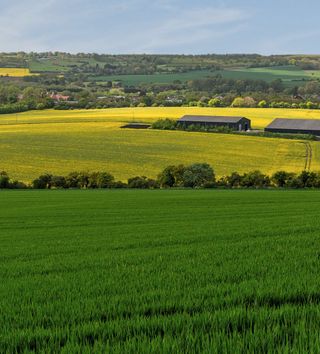 Bearsted Area Guide - Wards