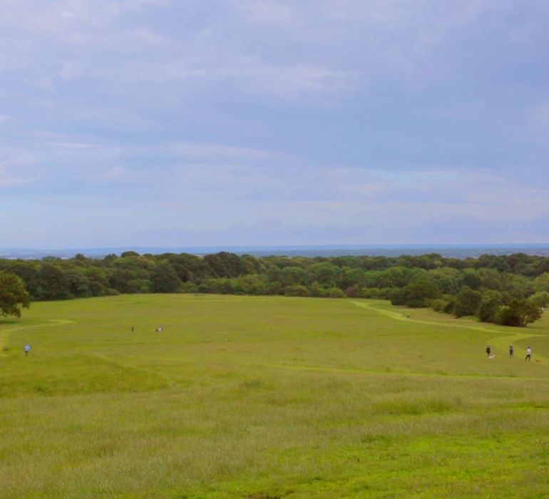 Gravesend Area Guide Wards